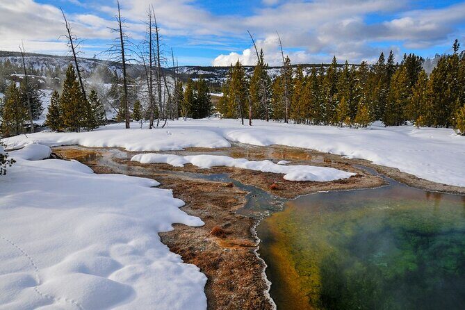 Winter Wildlife Safari in Yellowstone National Park - Who Should Consider This Tour?