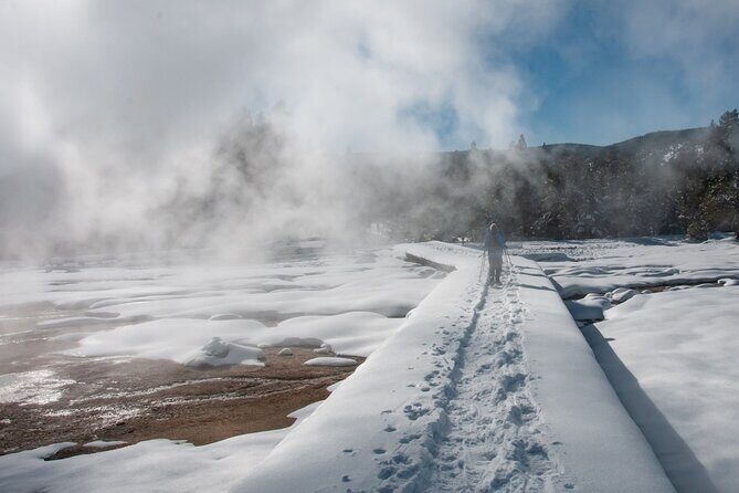 Winter Wildlife Safari in Yellowstone National Park - FAQ