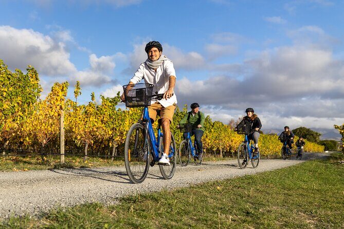 Winter Wine Wander Self guided Biking and Wine Trail Experience - A Practical and Enjoyable Self-Guided Winter Wine Bike Tour in Marlborough