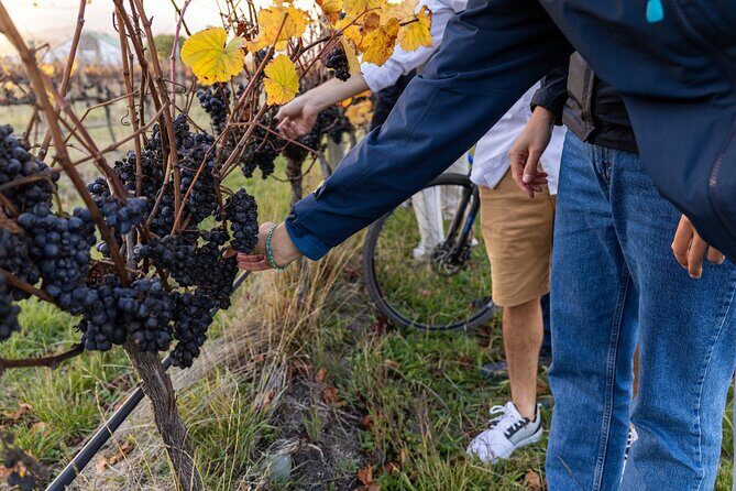 Winter Wine Wander Self guided Biking and Wine Trail Experience - Final Thoughts