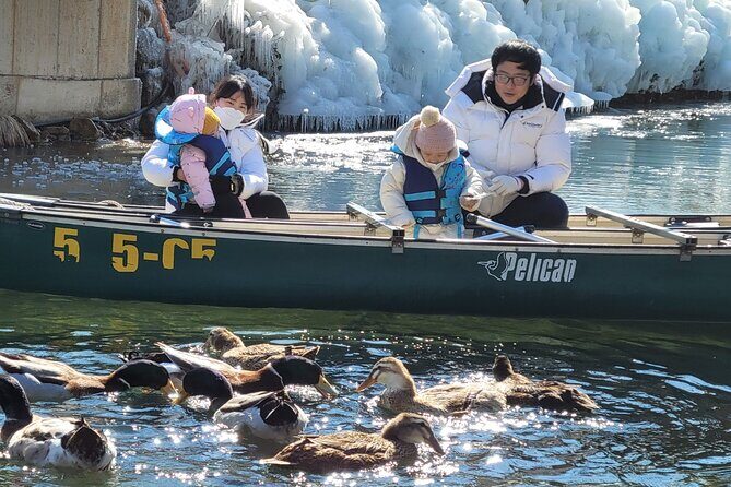 Winter Wonderland Healing Park and Gyeongju/Daegu Tour from Busan - Key Points