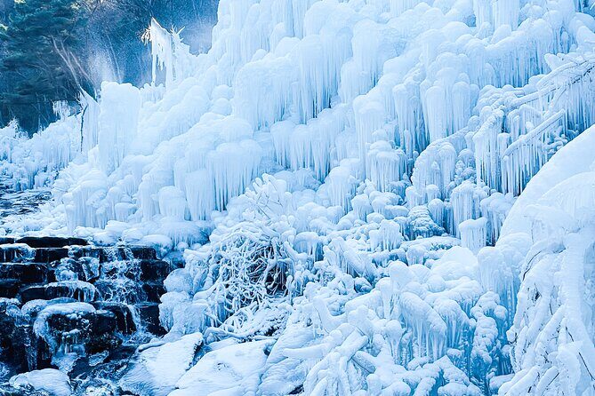 Winter Wonderland Healing Park and Gyeongju/Daegu Tour from Busan - Daegu: Market Food and Mountain Views (Daegu Version)