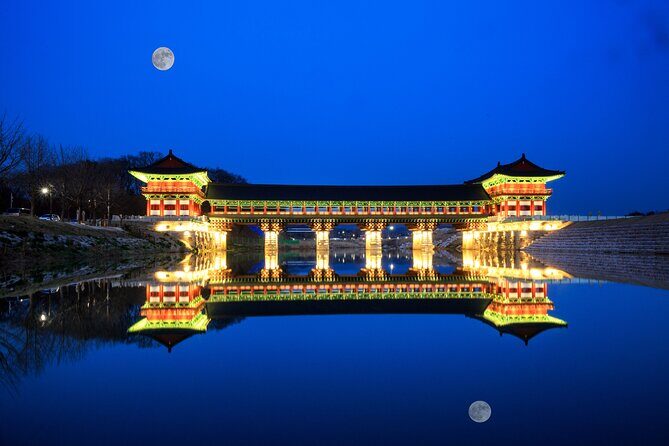 Winter Wonderland Healing Park and Gyeongju/Daegu Tour from Busan - Who Will Love This Tour?