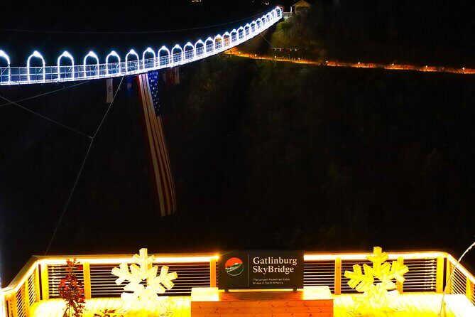 Winterfest Scenic Evening Tour - Who Should Consider This Tour?