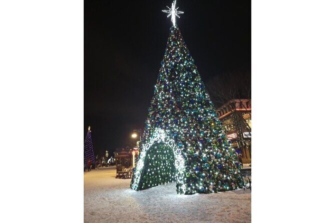 Winterfest Scenic Evening Tour - Final Thoughts