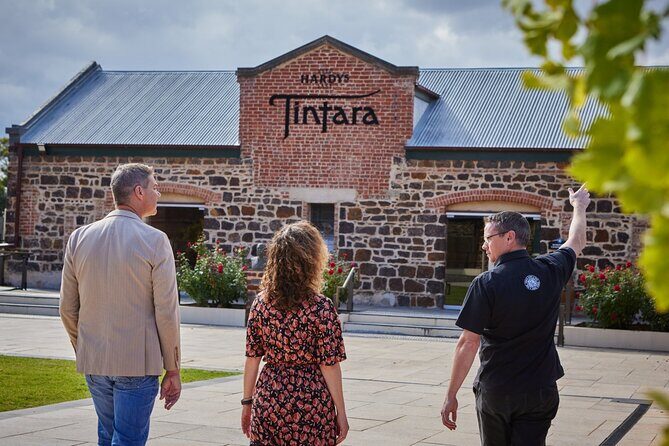 Wirra Wirra Vineyard McLaren Vale: Winery Tour and Shiraz Masterclass - A Deep Dive into the Experience