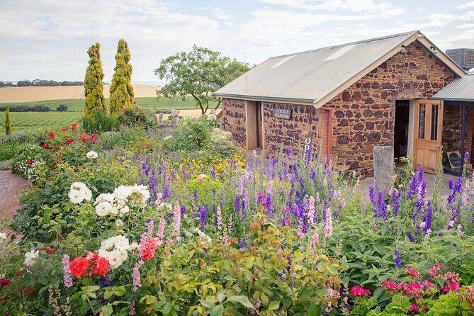 Wirra Wirra Vineyard McLaren Vale: Winery Tour and Shiraz Masterclass - Who Will Love This Tour?