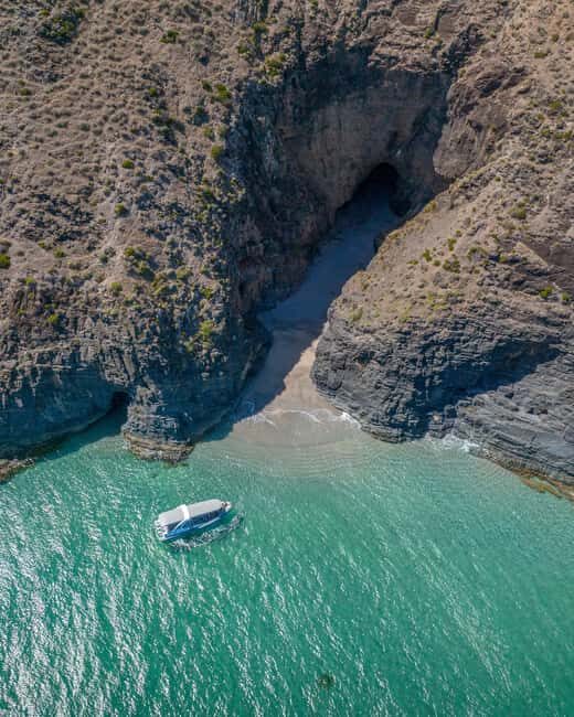 Wirrina Cove: Coastal Sightseeing Boat Tour with Seal Colony - A Detailed Look at the Coastal Sightseeing Experience
