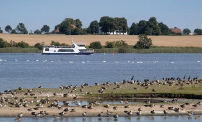 Wismar: Harbor Sightseeing Cruise - Final Thoughts: Who Should Consider This Cruise?