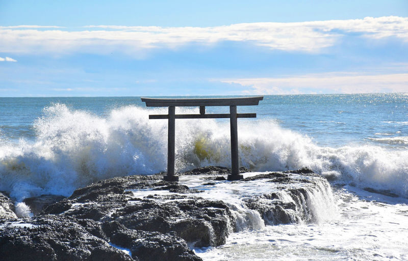 Wisteria Season Limited: Day Trip from Tokyo: Hitachi Seaside Park + Kamisuso Torii Gate + Ashikaga Flower Park - What to bring and who will enjoy it