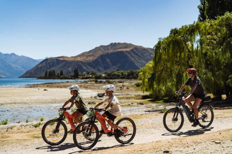 Wnaka: Gladstone Track and Wanaka Trails on Bike or eBike - Key Points