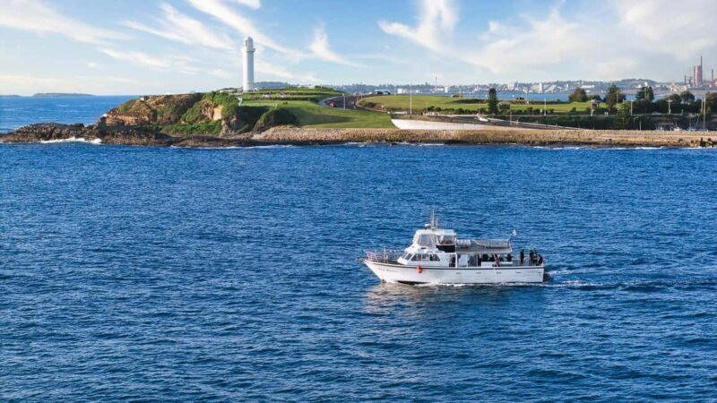 Wollongong Deep Sea Fishing Charter with Breakfast - Weekday - In-Depth Review of the Wollongong Deep Sea Fishing Charter
