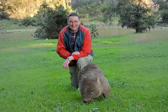 Wombat and Kangaroo Wildlife Tour from Sydney - A Detailed Look at the Wombat and Kangaroo Wildlife Tour