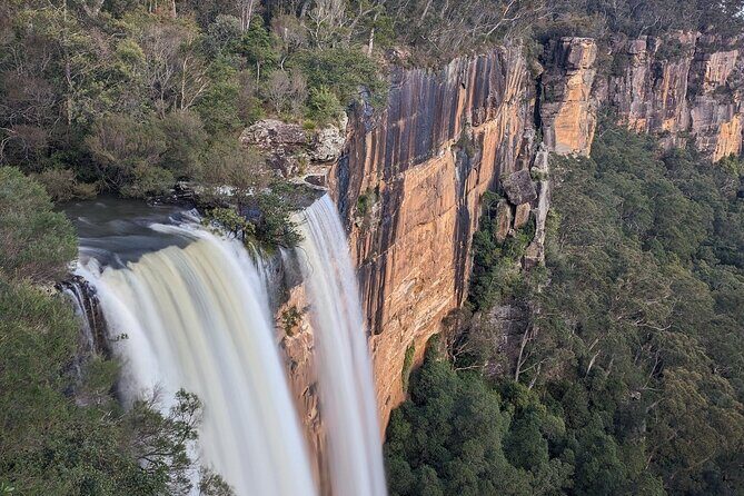 Wombat and Kangaroo Wildlife Tour from Sydney - Who Would Enjoy This Tour?