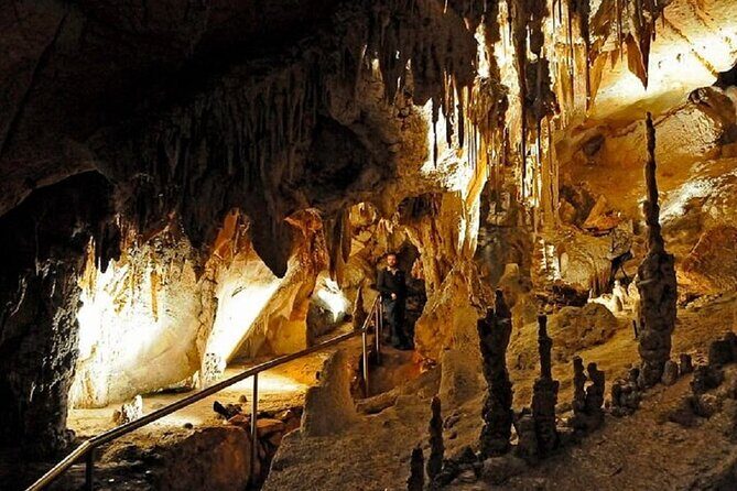 Wombeyan Caves: Wollondilly Cave Guided Tour - Exploring Wombeyan’s Wollondilly Cave: An In-Depth Review