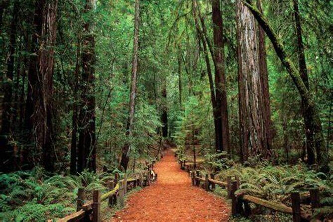 Women Only 5 day California Vineyards, Waves and Wine Tour - An In-Depth Look at the 5-Day California Women-Only Tour