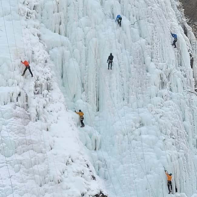 Wondae-ri Birch Forest and In-je Maebawi Icewall Day Tour - Key Points