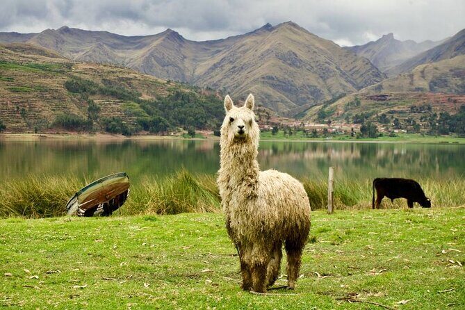 Wonderful Cusco 5-Day Tour with Entrance to Machupicchu - Frequently Asked Questions