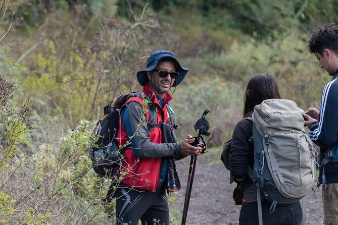 Wonderful hike through the Magic Forest of Tenerife - FAQs About the Magic Forest Hike