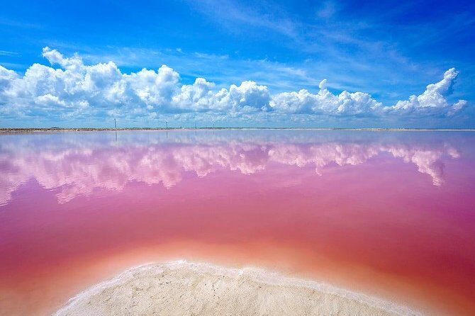 Wonderful Tour Las Coloradas & Buffete only from Cancun - Key Points