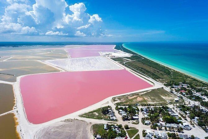 Wonderful Tour Las Coloradas & Buffete only from Cancun - Who Should Consider This Tour?