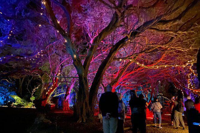 Wonderland by Night Norfolk Island - Exploring the Wonderland by Night Tour