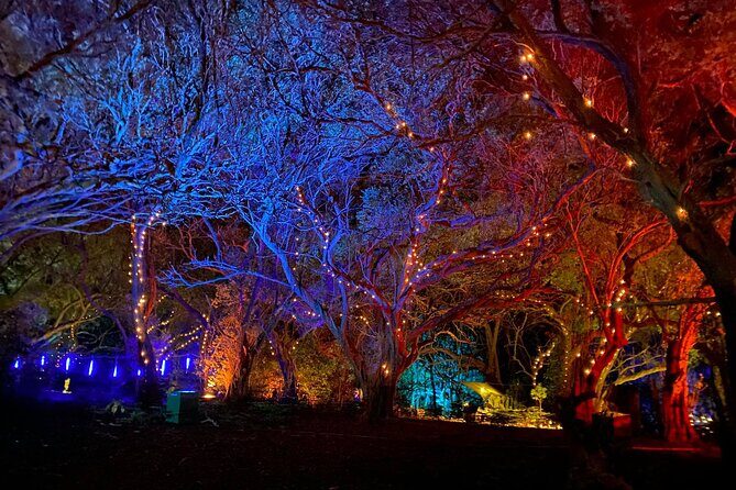 Wonderland by Night Norfolk Island - Authentic Experiences and Real Feedback
