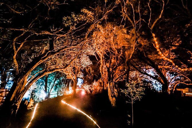 Wonderland by Night Norfolk Island - Final Thoughts