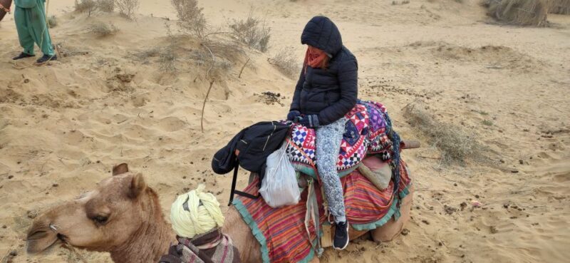 Wonderlust Camel Safari with Rumi Caravan of Thar Desert - Who Is This Tour Best For?