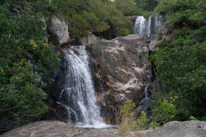 Wonders of Nui Chua National Park - Day Trek in Vinh Hy Bay - Exploring Nui Chua National Park: A Full-Day Trek in Vinh Hy Bay