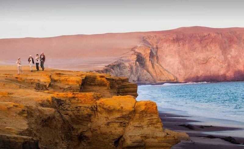Wonders of Paracas: Ballestas Islands and National Reserve - Who Will Enjoy This Tour?