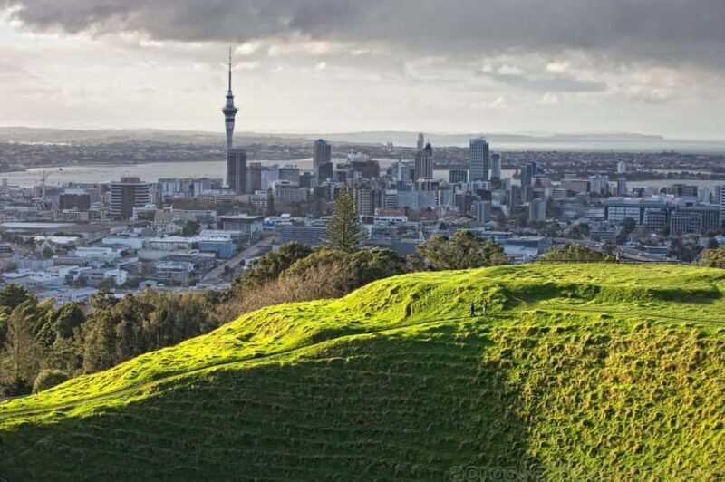 Wonders of Wellington: A Day of Icons, Views & Culture - Key Points