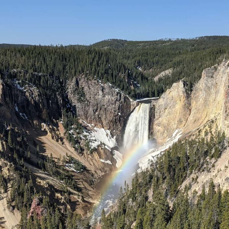 Wonders of Yellowstone: Private Lower Loop Tour with Lunch - A Practical Look at the Wonders of Yellowstone Private Lower Loop Tour