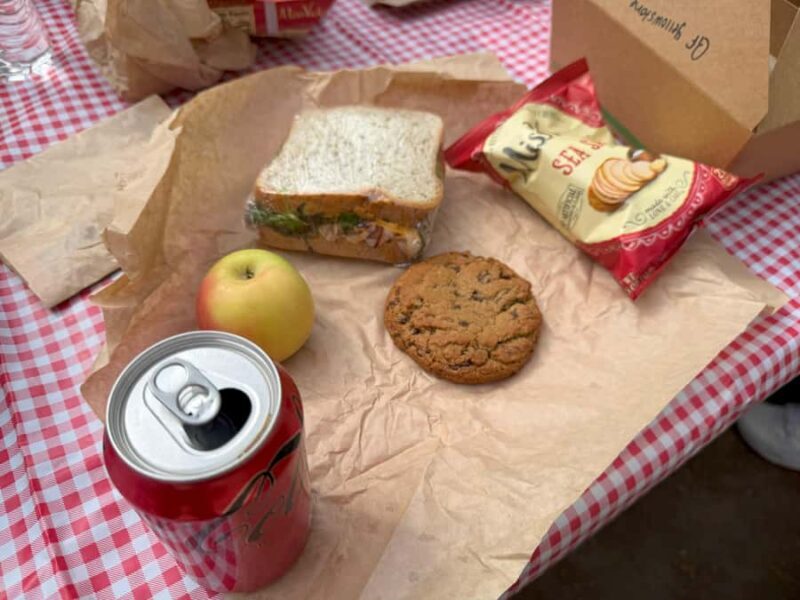 Wonders of Yellowstone: Private Lower Loop Tour with Lunch - Final Thoughts