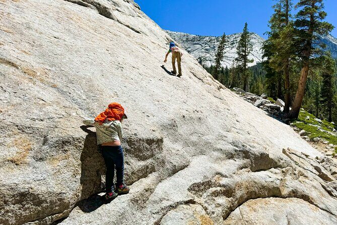 Wonders of Yosemite: Kid Friendly Private Tour - Why Choose a Private, Customizable Tour?