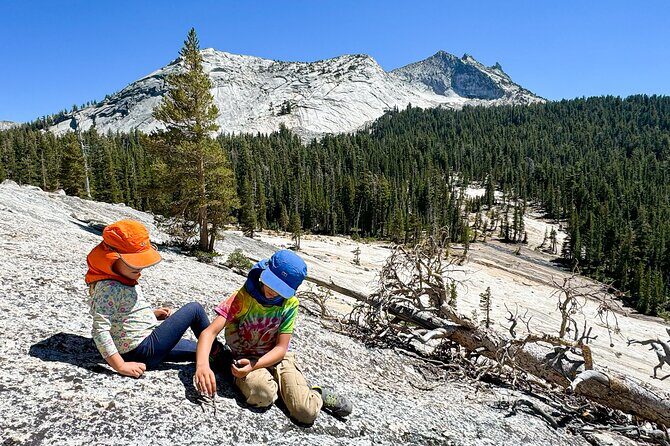 Wonders of Yosemite: Kid Friendly Private Tour - Authentic Experiences & Local Insight