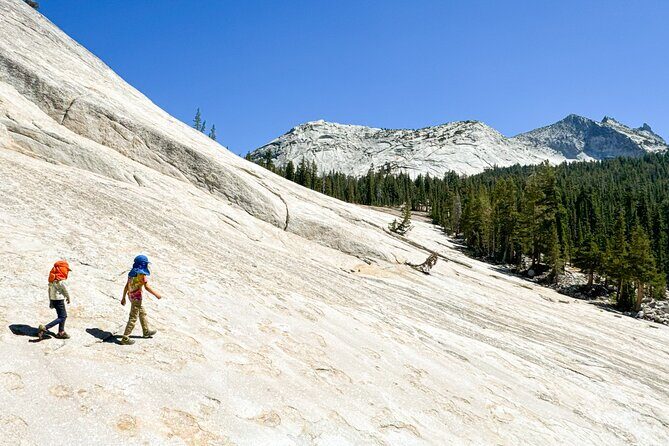 Wonders of Yosemite: Kid Friendly Private Tour - What Travelers Say