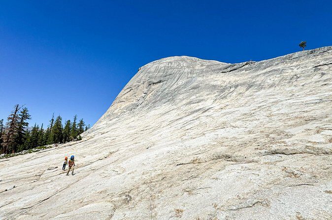 Wonders of Yosemite: Kid Friendly Private Tour - Pricing & Value