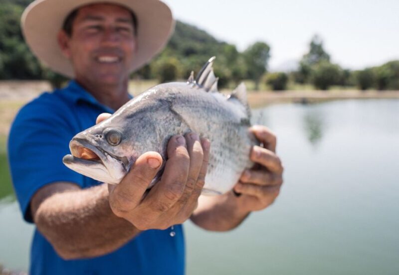 Wonga Beach: Hook-A-Barra Fishing Experience - A Detailed Look at the Hook-A-Barra Experience