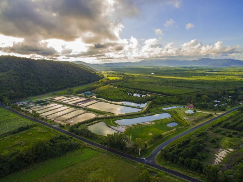 Wonga: Daintree Saltwater Farm Tour - Key Points