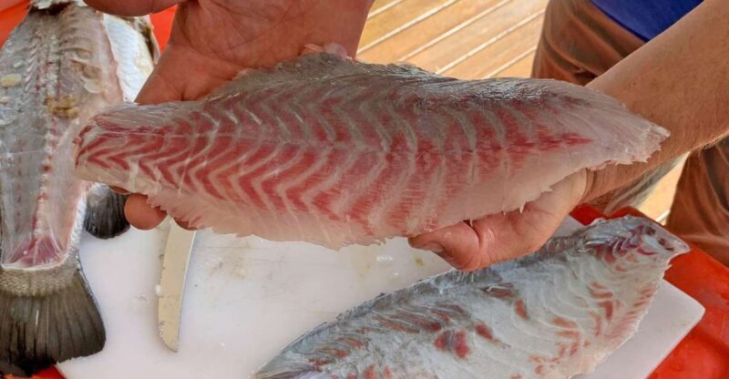 Wonga: Guided Fishing, Farming and Tasting Tour - Why This Tour Works