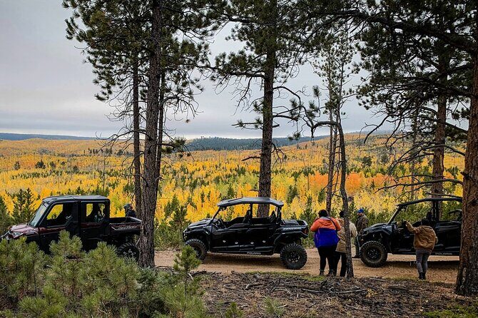 Woodland Park: 2 Hour Guided Wildlife Sunset UTV Tour - You Drive - What to Expect on the UTV Experience