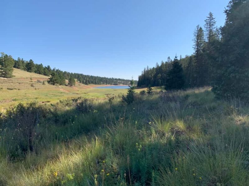 Woodland Park: Snowshoeing Guided Hike - Key Points