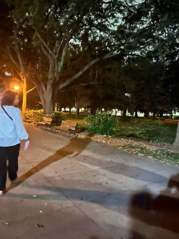 Woodstock: Ghosts, Voodoo & Mystery Tour - Why This Tour Works for Travelers