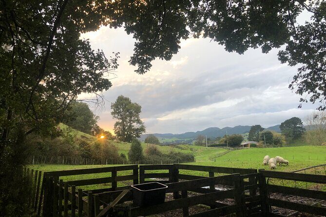 Wool Sheep Farm Experience with Handmade Wool Hat in New Zealand - Final Thoughts: Is This Experience Right for You?