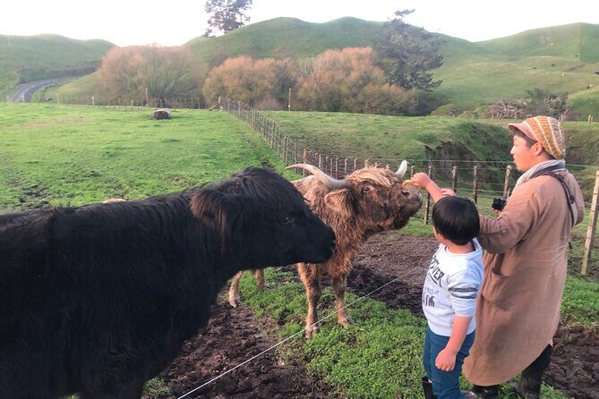 Wool Sheep Farm Experience with Handmade Wool Hat in New Zealand - FAQ