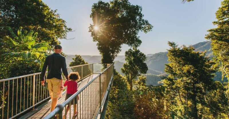 Wooroonooran National Park: Mamu Tropical Skywalk Admission - Final Thoughts
