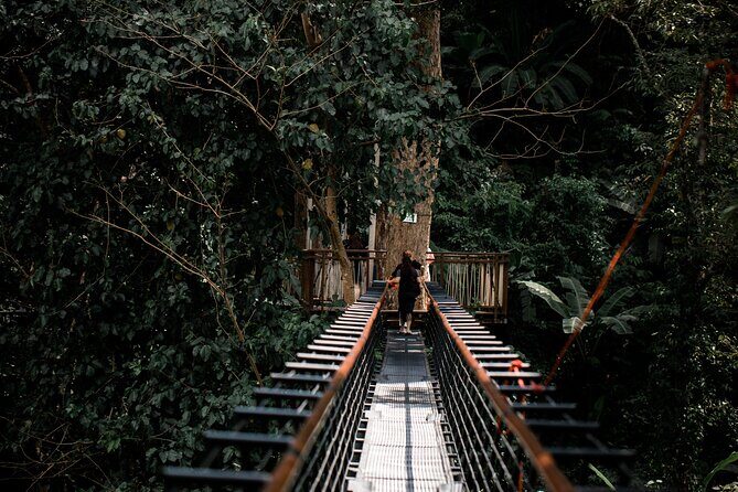 World B+ (Zipline 18 Platforms + Roller + Sky Walk with World Set Menu ) - Final Thoughts