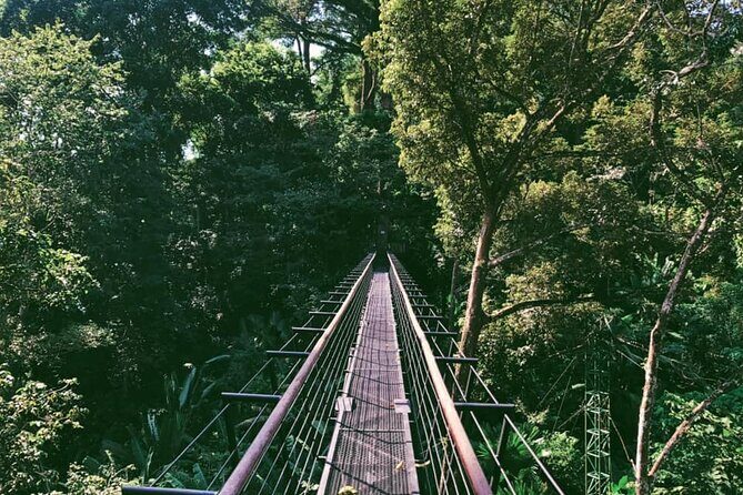 World B+ (Zipline 18 Platforms + Roller + Sky Walk with World Set Menu ) - FAQ