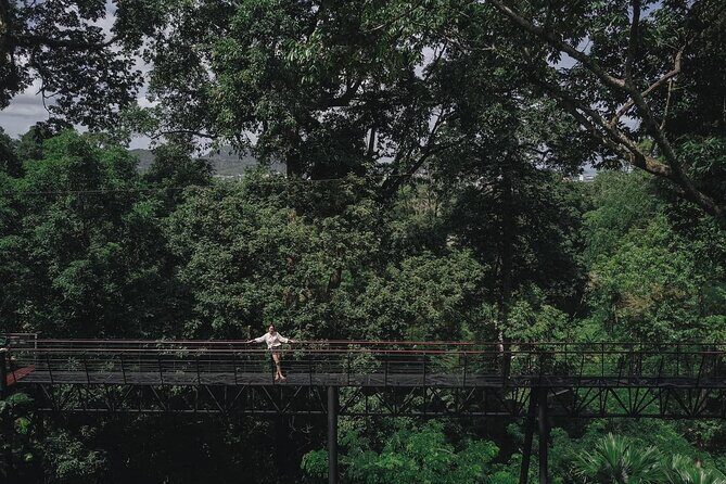 World C+ (Ziplines 10 Platforms + Roller + Sky Walk and World Set Menu ) - A Deep Dive into the Adventure